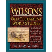 WILSON'S OLD TESTAMENT WORD STUDIES William Wilson - Click Image to Close