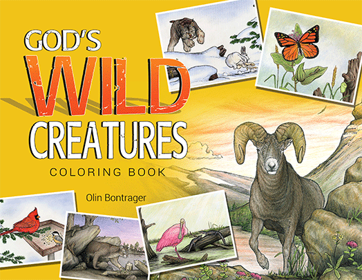 GOD'S WILD CREATURES COLORING BOOK - Click Image to Close